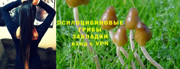 спайс Верея